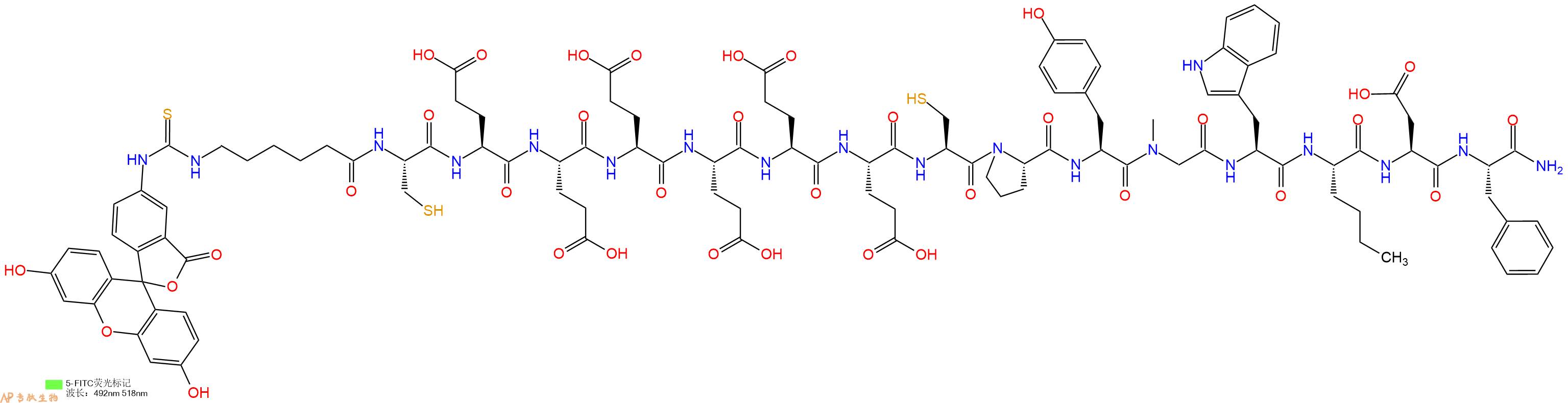 专肽生物产品5FITC-Ahx-Cys-Glu-Glu-Glu-Glu-Glu-Glu-Cys-Pro-Tyr-Sar-Trp-Nle-Asp-Phe-CONH2