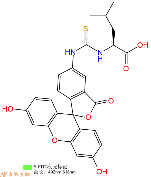 专肽生物产品5FITC-Leu-OH