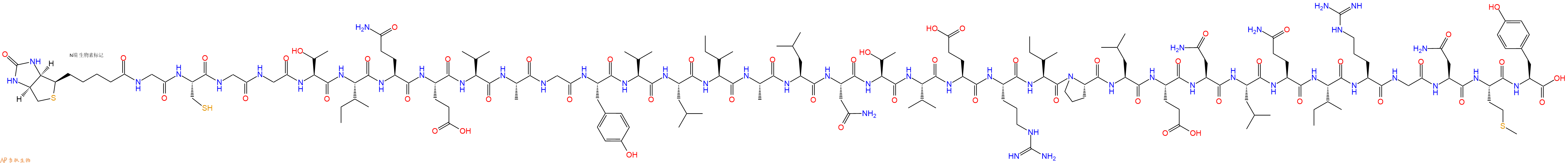 专肽生物产品Biotinyl-Gly-Cys-Gly-Gly-Thr-Ile-Gln-Glu-Val-Ala-Gly-Tyr-Val-Leu-Ile-Ala-Leu-Asn-Thr-Val-Glu-Arg-Ile-Pro-Leu-Glu-Asn-Leu-Gln-Ile-Arg-Gly-Asn-Met-Tyr-OH