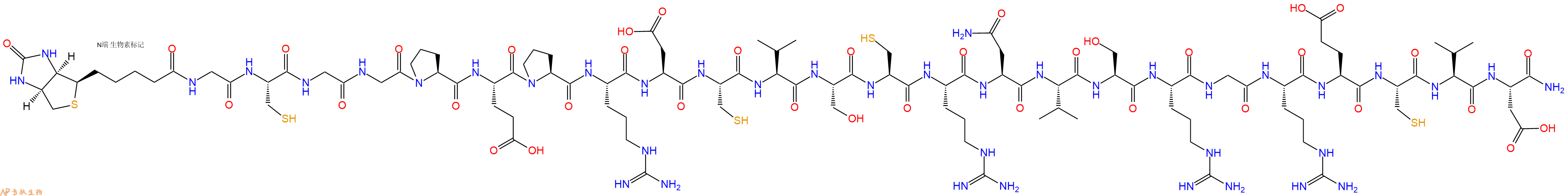 专肽生物产品Biotinyl-Gly-Cys-Gly-Gly-Pro-Glu-Pro-Arg-Asp-Cys-Val-Ser-Cys-Arg-Asn-Val-Ser-Arg-Gly-Arg-Glu-Cys-Val-Asp-CONH2