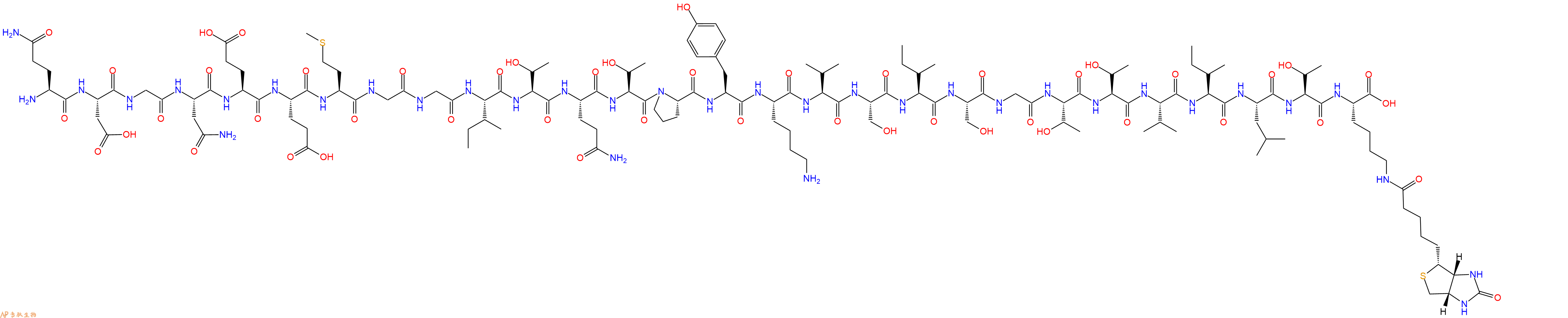 专肽生物产品H2N-Gln-Asp-Gly-Asn-Glu-Glu-Met-Gly-Gly-Ile-Thr-Gln-Thr-Pro-Tyr-Lys-Val-Ser-Ile-Ser-Gly-Thr-Thr-Val-Ile-Leu-Thr-Lys(Biotin)-OH