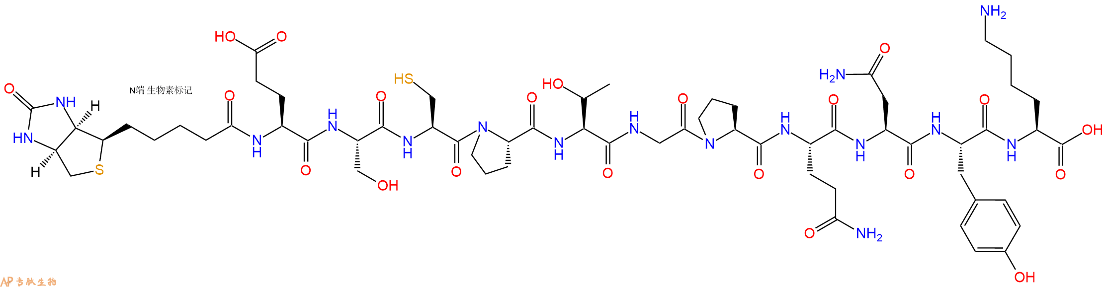 专肽生物产品Biotinyl-Glu-Ser-Cys-Pro-Thr-Gly-Pro-Gln-Asn-Tyr-Lys-OH