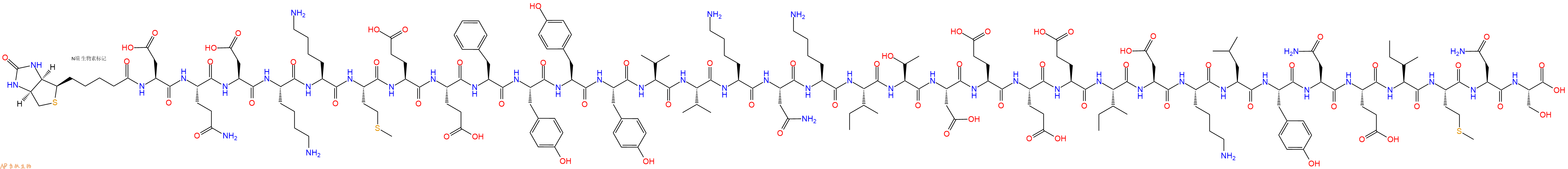 专肽生物产品Biotinyl-Asp-Gln-Asp-Lys-Lys-Met-Glu-Glu-Phe-Tyr-Tyr-Tyr-Val-Val-Lys-Asn-Lys-Ile-Thr-Asp-Glu-Glu-Glu-Ile-Asp-Lys-Leu-Tyr-Asn-Glu-Ile-Met-Asn-Ser-OH