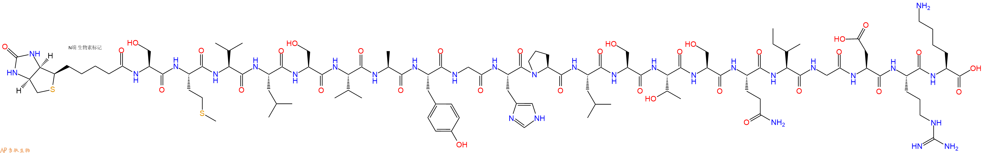 专肽生物产品Biotinyl-Ser-Met-Val-Leu-Ser-Val-Ala-Tyr-Gly-His-Pro-Leu-Ser-Thr-Ser-Gln-Ile-Gly-Asp-Arg-Lys-OH