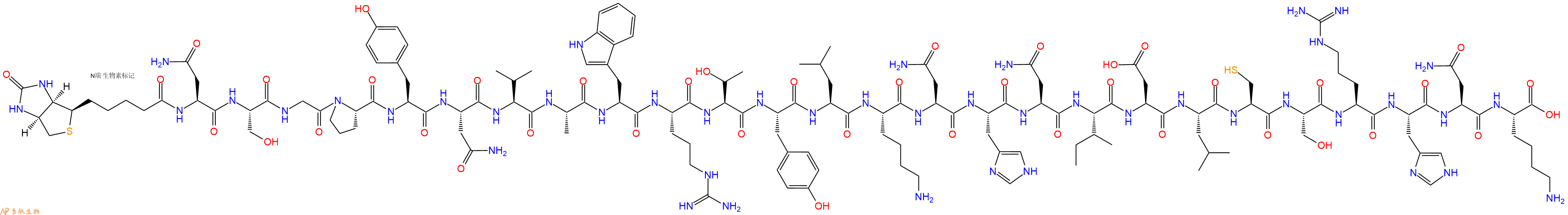 专肽生物产品Biotinyl-Asn-Ser-Gly-Pro-Tyr-Asn-Val-Ala-Trp-Arg-Thr-Tyr-Leu-Lys-Asn-His-Asn-Ile-Asp-Leu-Cys-Ser-Arg-His-Asn-Lys-OH