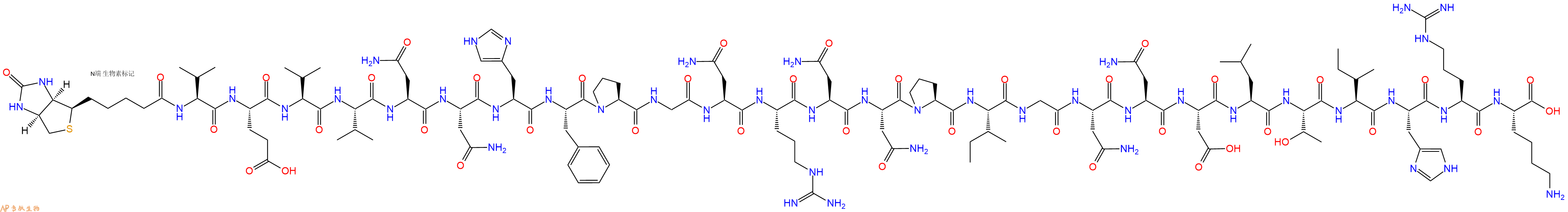 专肽生物产品Biotinyl-Val-Glu-Val-Val-Asn-Asn-His-Phe-Pro-Gly-Asn-Arg-Asn-Asn-Pro-Ile-Gly-Asn-Asn-Asp-Leu-Thr-Ile-His-Arg-Lys-OH
