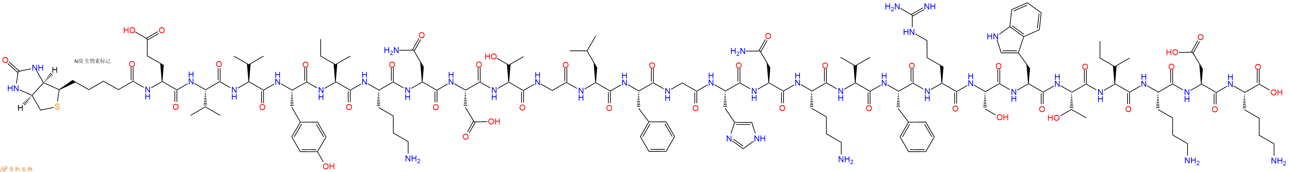 专肽生物产品Biotinyl-Glu-Val-Val-Tyr-Ile-Lys-Asn-Asp-Thr-Gly-Leu-Phe-Gly-His-Asn-Lys-Val-Phe-Arg-Ser-Trp-Thr-Ile-Lys-Asp-Lys-OH