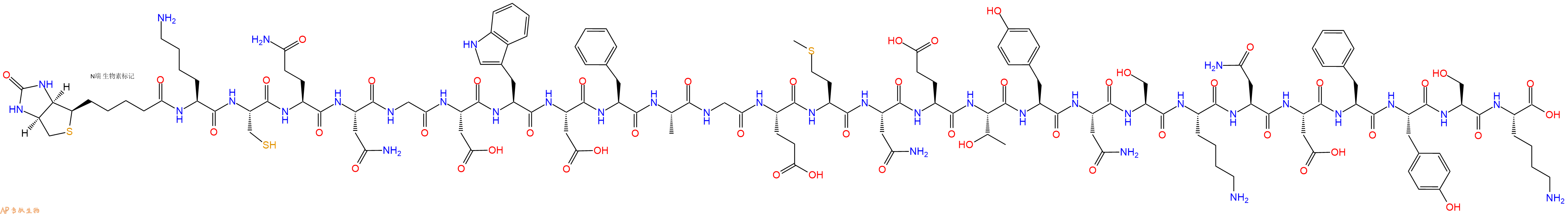 专肽生物产品Biotinyl-Lys-Cys-Gln-Asn-Gly-Asp-Trp-Asp-Phe-Ala-Gly-Glu-Met-Asn-Glu-Thr-Tyr-Asn-Ser-Lys-Asn-Asp-Phe-Tyr-Ser-Lys-OH