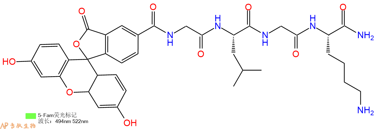 专肽生物产品5FAM-Gly-Leu-Gly-Lys-CONH2