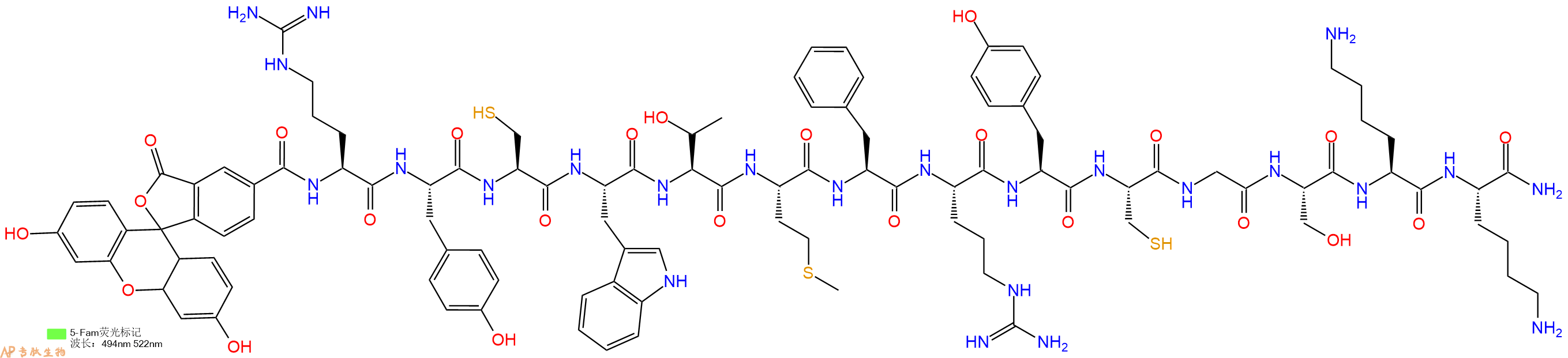 专肽生物产品5FAM-Arg-Tyr-Cys-Trp-Thr-Met-Phe-Arg-Tyr-Cys-Gly-Ser-Lys-Lys-CONH2
