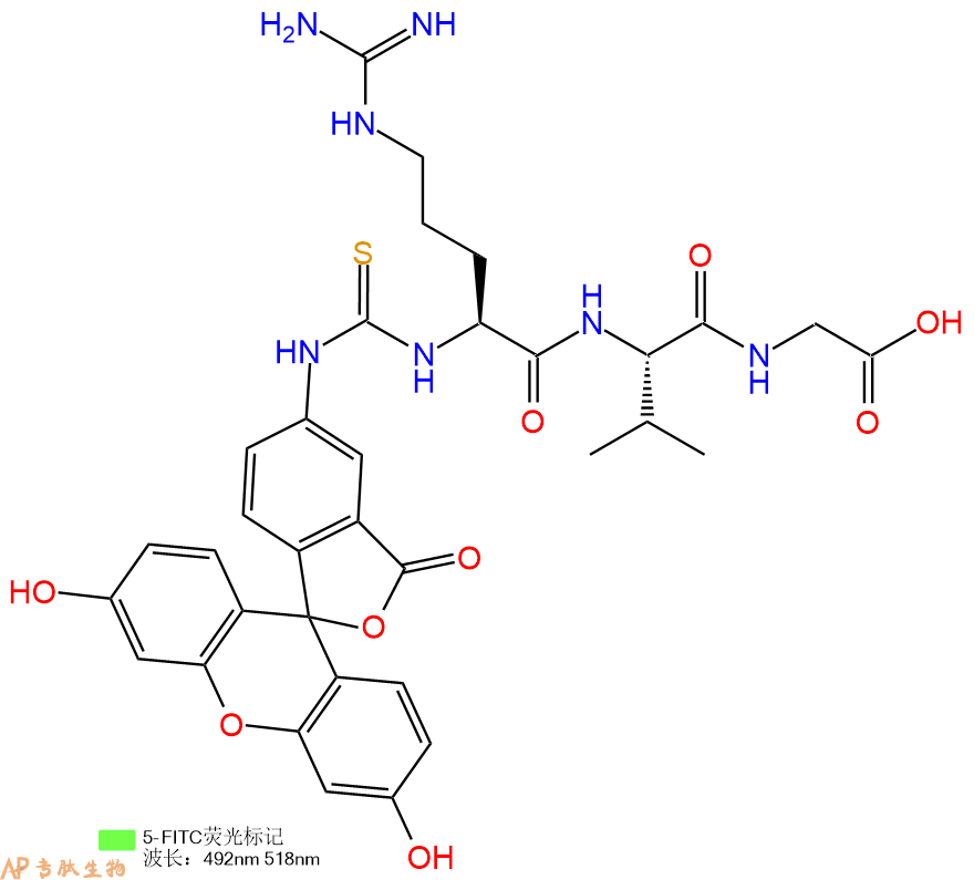专肽生物产品5FITC-Arg-Val-Gly-OH