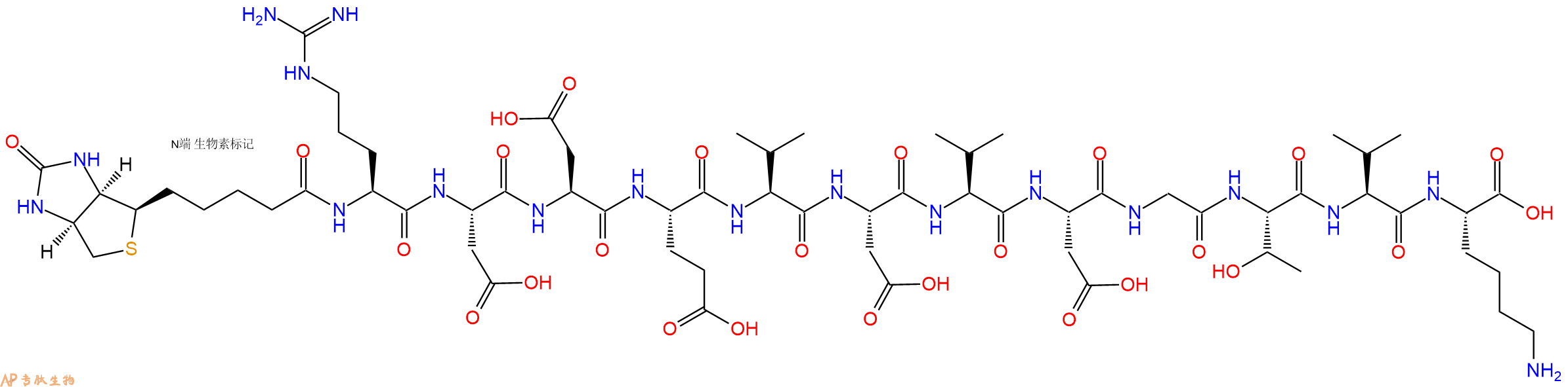 专肽生物产品Biotinyl-Arg-Asp-Asp-Glu-Val-Asp-Val-Asp-Gly-Thr-Val-Lys-OH