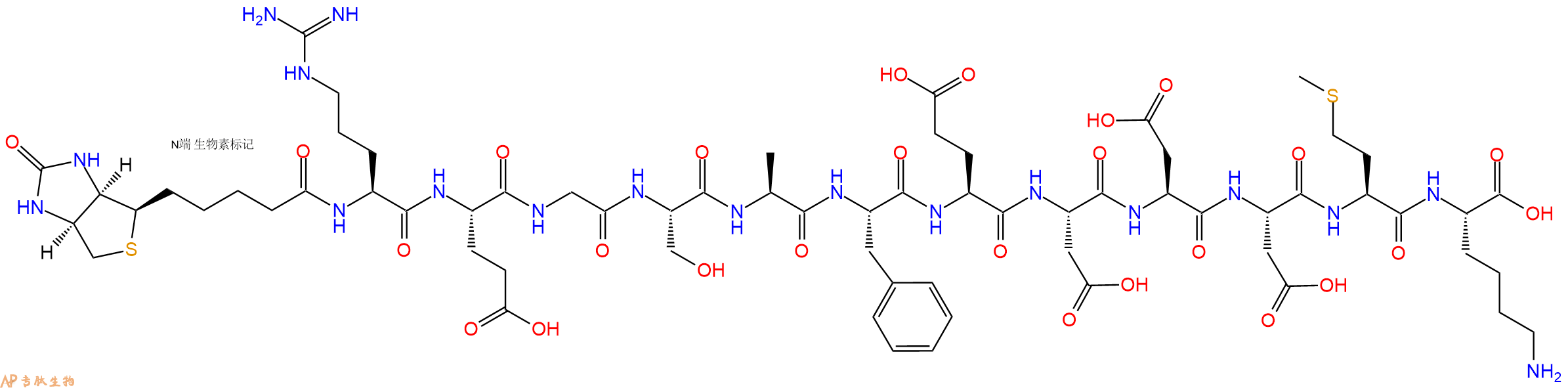 专肽生物产品Biotinyl-Arg-Glu-Gly-Ser-Ala-Phe-Glu-Asp-Asp-Asp-Met-Lys-OH