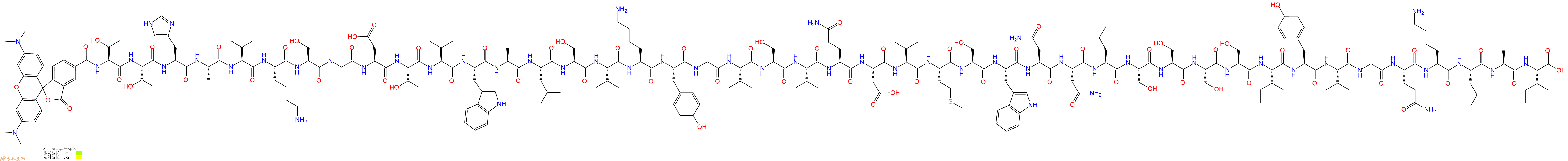 专肽生物产品5TAMRA-Thr-Thr-His-Ala-Val-Lys-Ser-Gly-Asp-Thr-Ile-Trp-Ala-Leu-Ser-Val-Lys-Tyr-Gly-Val-Ser-Val-Gln-Asp-Ile-Met-Ser-Trp-Asn-Asn-Leu-Ser-Ser-Ser-Ser-Ile-Tyr-Val-Gly-Gln-Lys-Leu-Ala-Ile-OH
