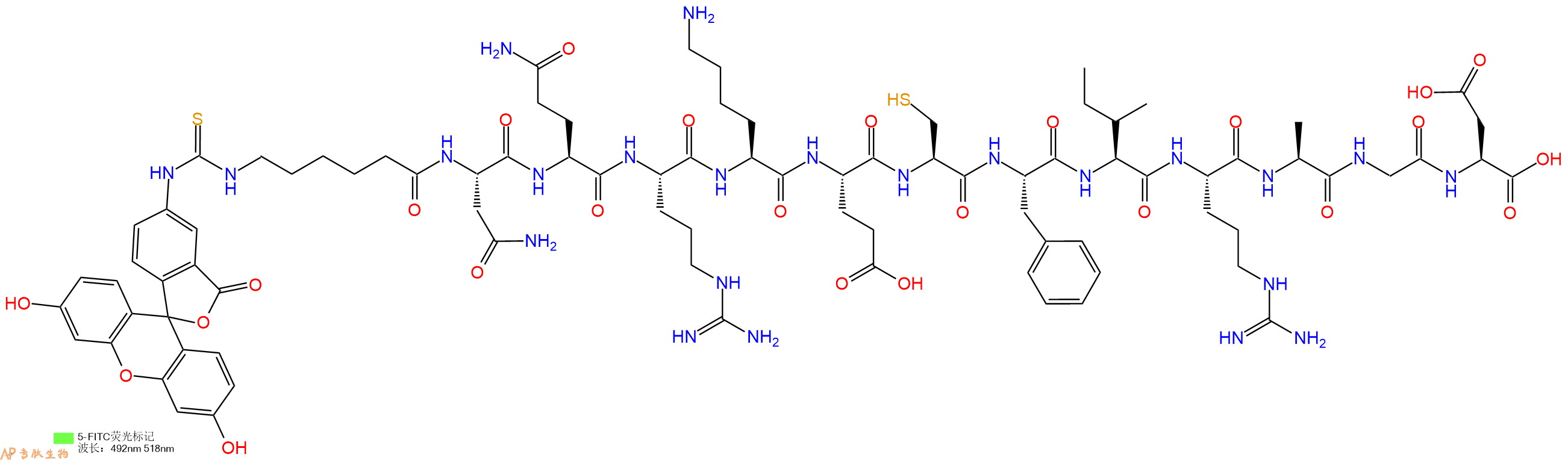 专肽生物产品5FITC-Ahx-Asn-Gln-Arg-Lys-Glu-Cys-Phe-Ile-Arg-Ala-Gly-Asp-OH