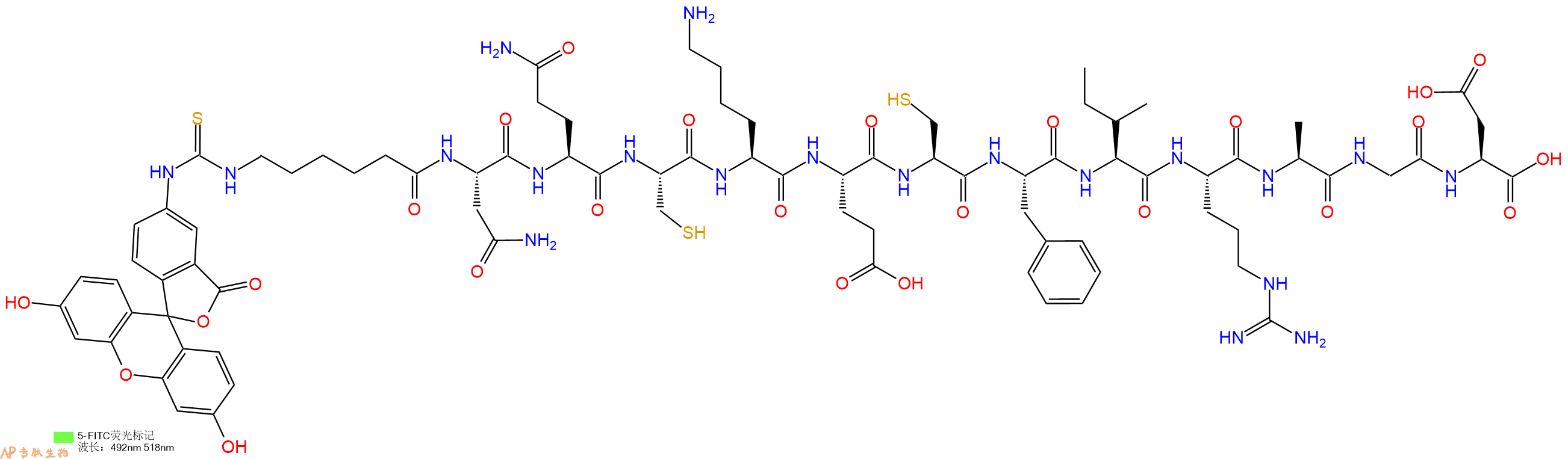 专肽生物产品5FITC-Ahx-Asn-Gln-Cys-Lys-Glu-Cys-Phe-Ile-Arg-Ala-Gly-Asp-OH