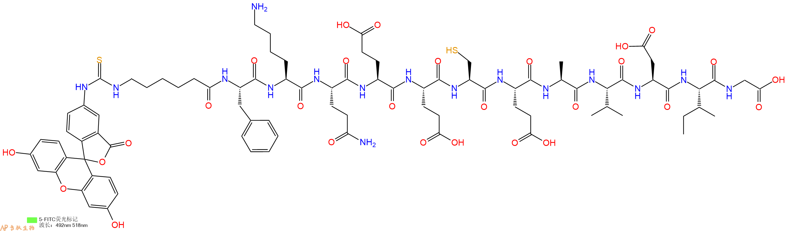 专肽生物产品5FITC-Ahx-Phe-Lys-Gln-Glu-Glu-Cys-Glu-Ala-Val-Asp-Ile-Gly-OH