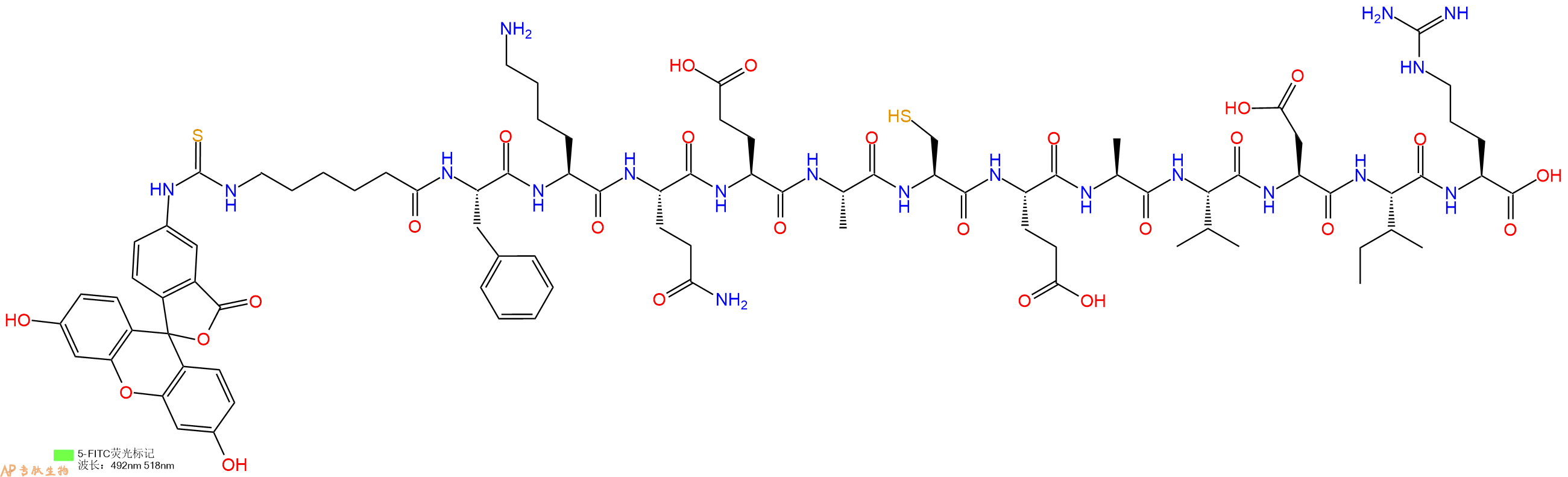专肽生物产品5FITC-Ahx-Phe-Lys-Gln-Glu-Ala-Cys-Glu-Ala-Val-Asp-Ile-Arg-OH