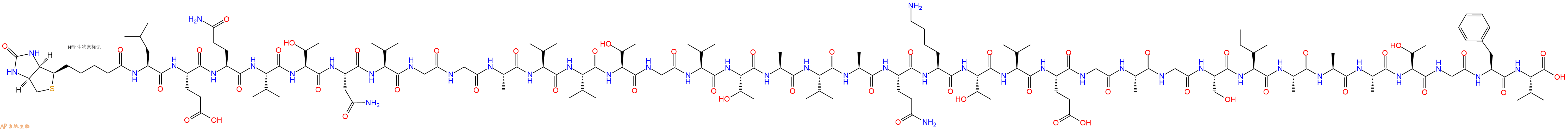 专肽生物产品Biotinyl-Leu-Glu-Gln-Val-Thr-Asn-Val-Gly-Gly-Ala-Val-Val-Thr-Gly-Val-Thr-Ala-Val-Ala-Gln-Lys-Thr-Val-Glu-Gly-Ala-Gly-Ser-Ile-Ala-Ala-Ala-Thr-Gly-Phe-Val-OH