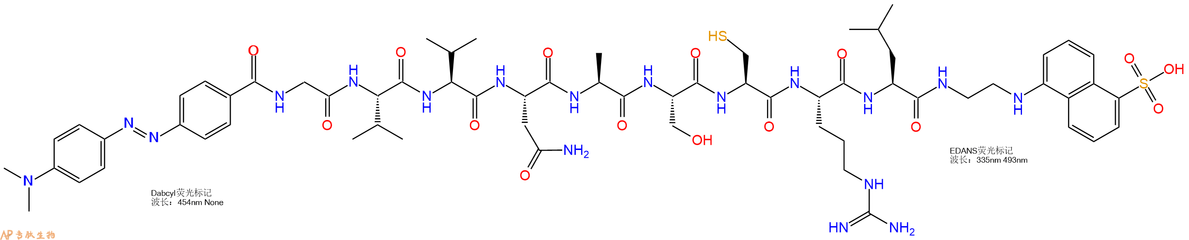 专肽生物产品DABCYL-Gly-Val-Val-Asn-Ala-Ser-Cys-Arg-Leu-EDANS