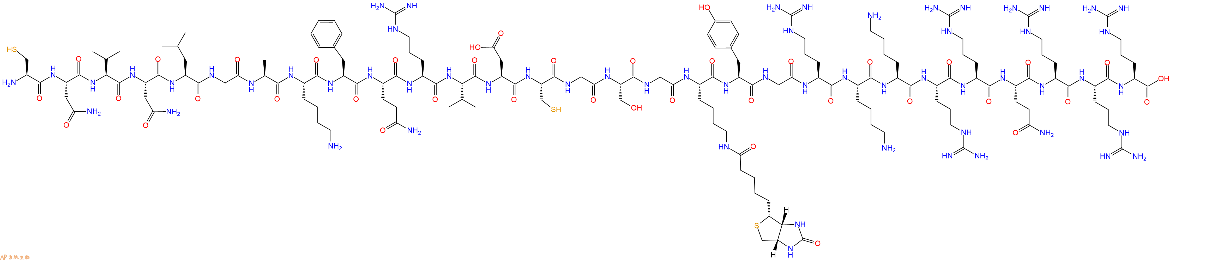 专肽生物产品H2N-Cys-Asn-Val-Asn-Leu-Gly-Ala-Lys-Phe-Gln-Arg-Val-Asp-Cys-Gly-Ser-Gly-Lys(Biotin)-Tyr-Gly-Arg-Lys-Lys-Arg-Arg-Gln-Arg-Arg-Arg-OH