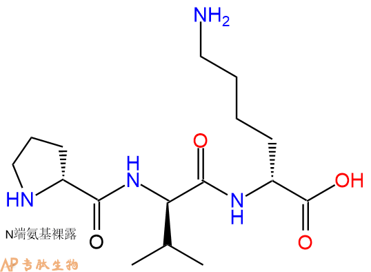 专肽生物产品H2N-DPro-DVal-DLys-OH