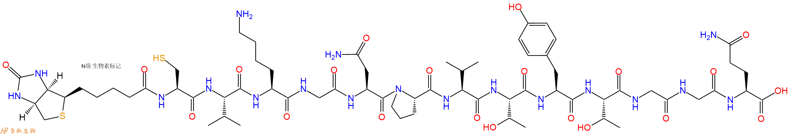 专肽生物产品Biotinyl-Cys-Val-Lys-Gly-Asn-Pro-Val-Thr-Tyr-Thr-Gly-Gly-Gln-OH
