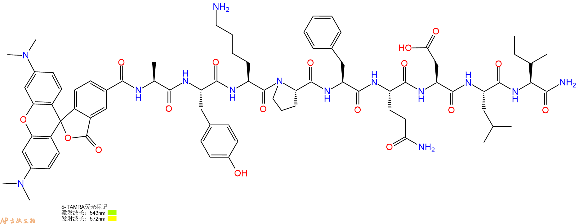 专肽生物产品5TAMRA-Ala-Tyr-Lys-Pro-Phe-Gln-Asp-Leu-Ile-CONH2