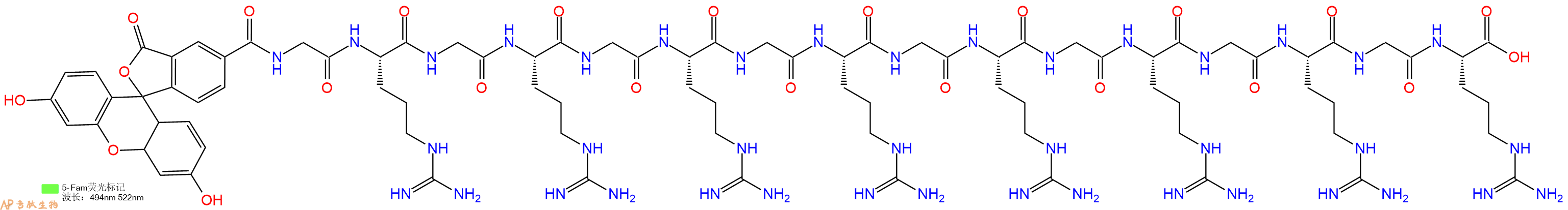 专肽生物产品5FAM-Gly-Arg-Gly-Arg-Gly-Arg-Gly-Arg-Gly-Arg-Gly-Arg-Gly-Arg-Gly-Arg-OH