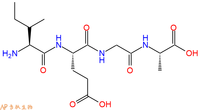 专肽生物产品H2N-Ile-Glu-Gly-Ala-OH