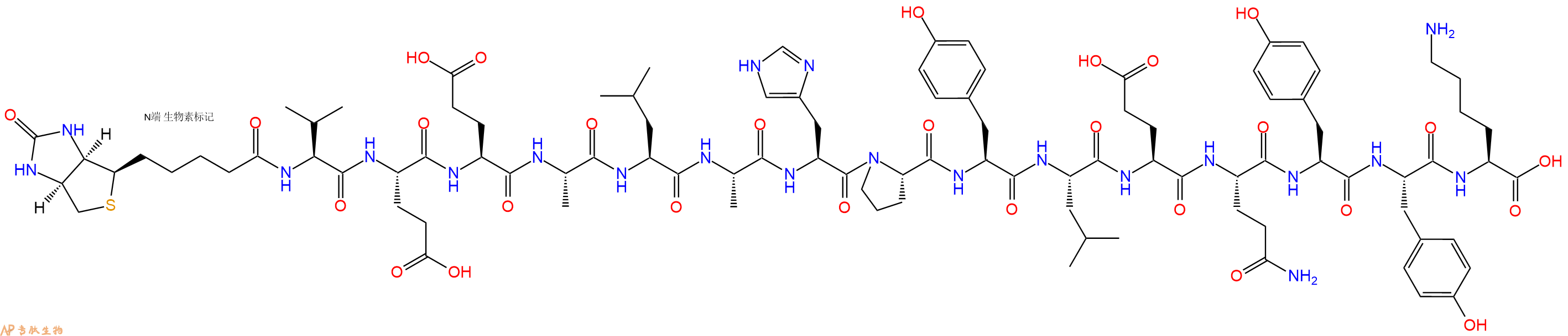 专肽生物产品Biotinyl-Val-Glu-Glu-Ala-Leu-Ala-His-Pro-Tyr-Leu-Glu-Gln-Tyr-Tyr-Lys-OH