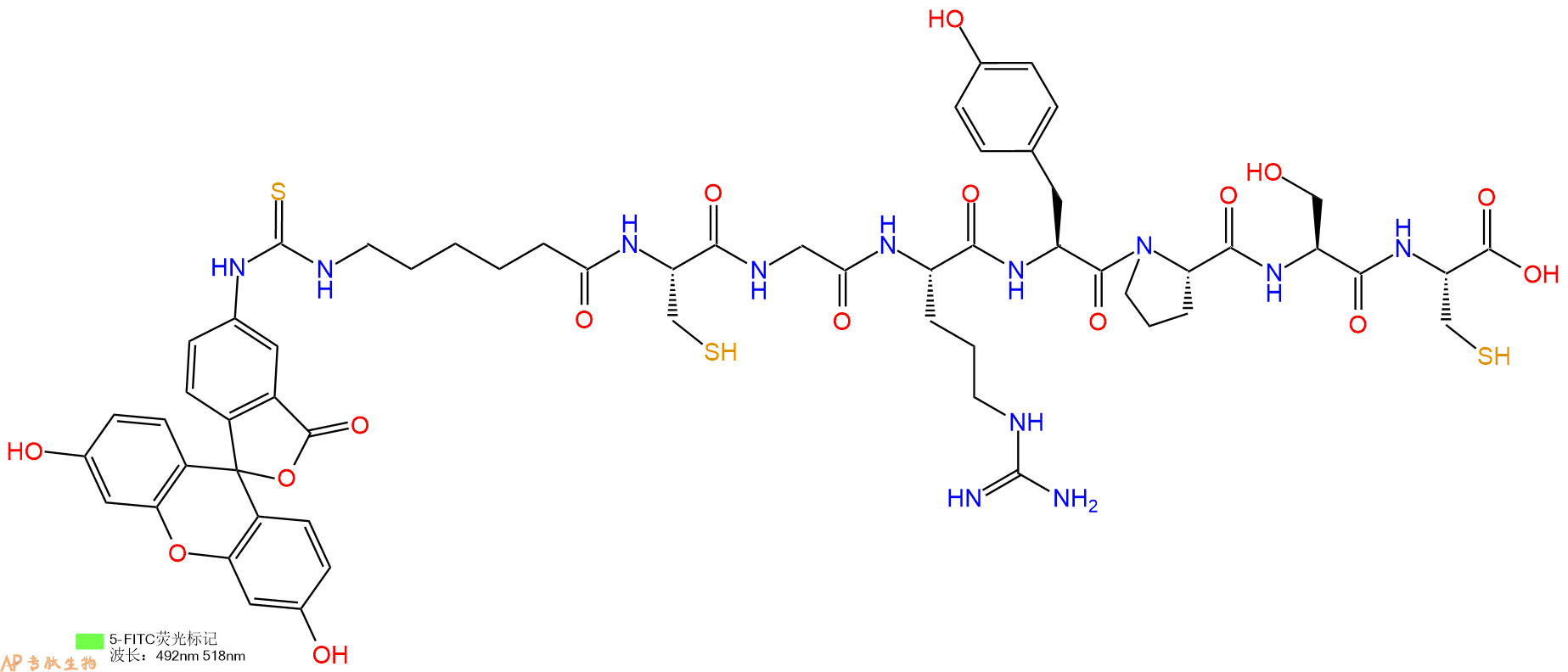专肽生物产品5FITC-Ahx-Cys-Gly-Arg-Tyr-Pro-Ser-Cys-OH