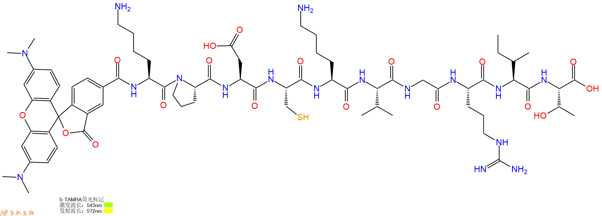 专肽生物产品5TAMRA-Lys-Pro-Asp-Cys-Lys-Val-Gly-Arg-Ile-Thr-OH