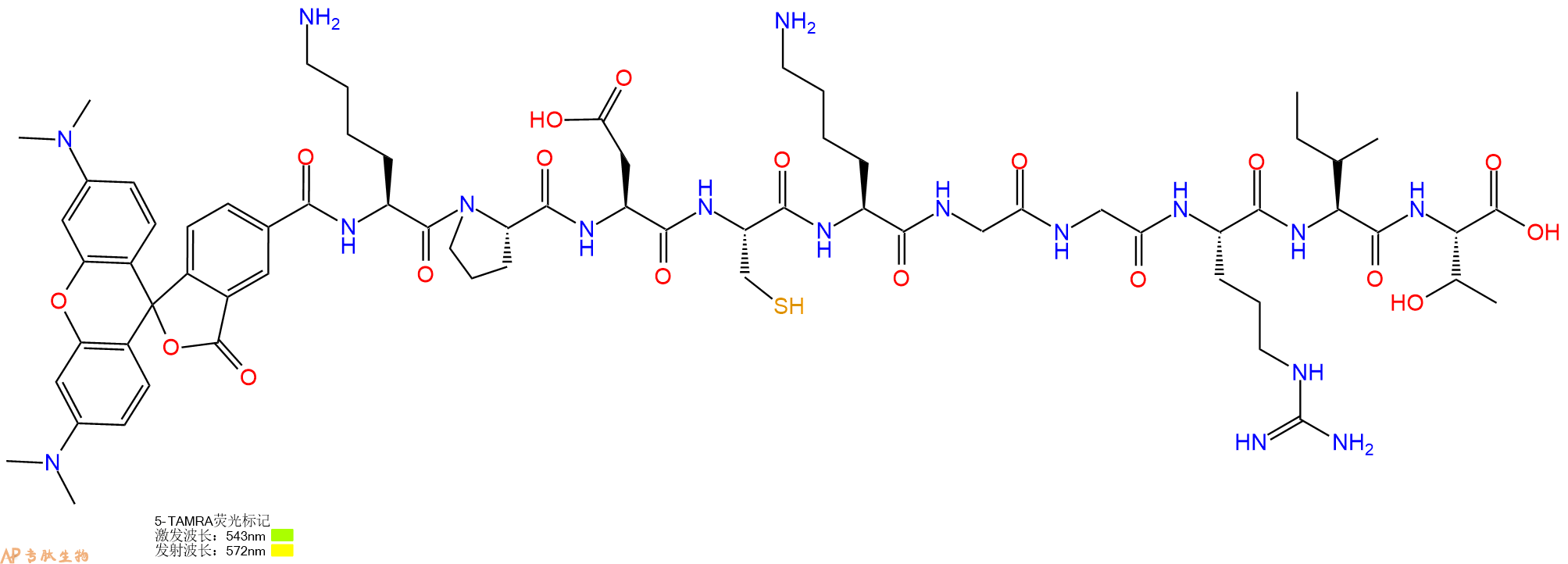 专肽生物产品5TAMRA-Lys-Pro-Asp-Cys-Lys-Gly-Gly-Arg-Ile-Thr-OH