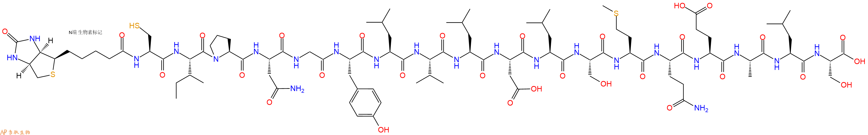 专肽生物产品Biotinyl-Cys-Ile-Pro-Asn-Gly-Tyr-Leu-Val-Leu-Asp-Leu-Ser-Met-Gln-Glu-Ala-Leu-Ser-OH