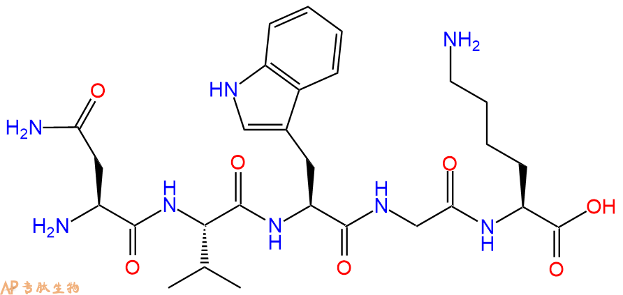 专肽生物产品H2N-Asn-Val-Trp-Gly-Lys-OH