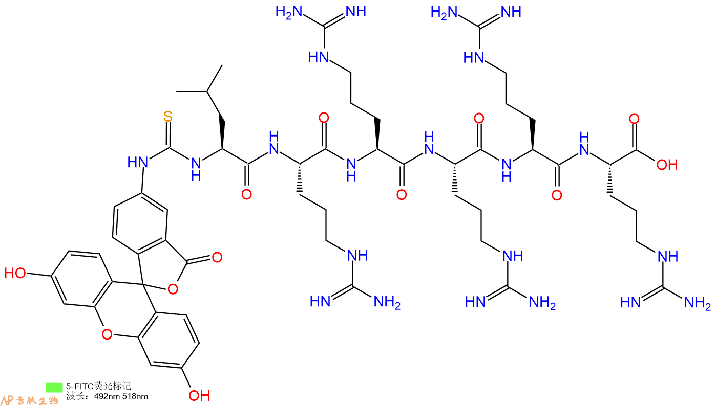 专肽生物产品5FITC-Leu-Arg-Arg-Arg-Arg-Arg-OH