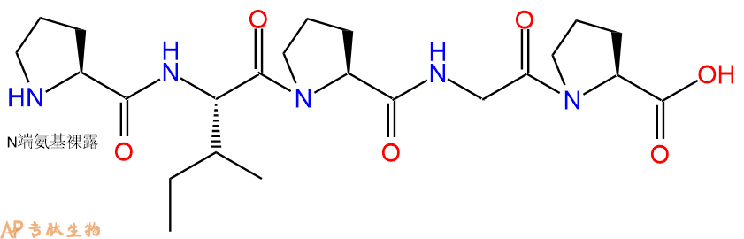 专肽生物产品H2N-Pro-Ile-Pro-Gly-Pro-OH