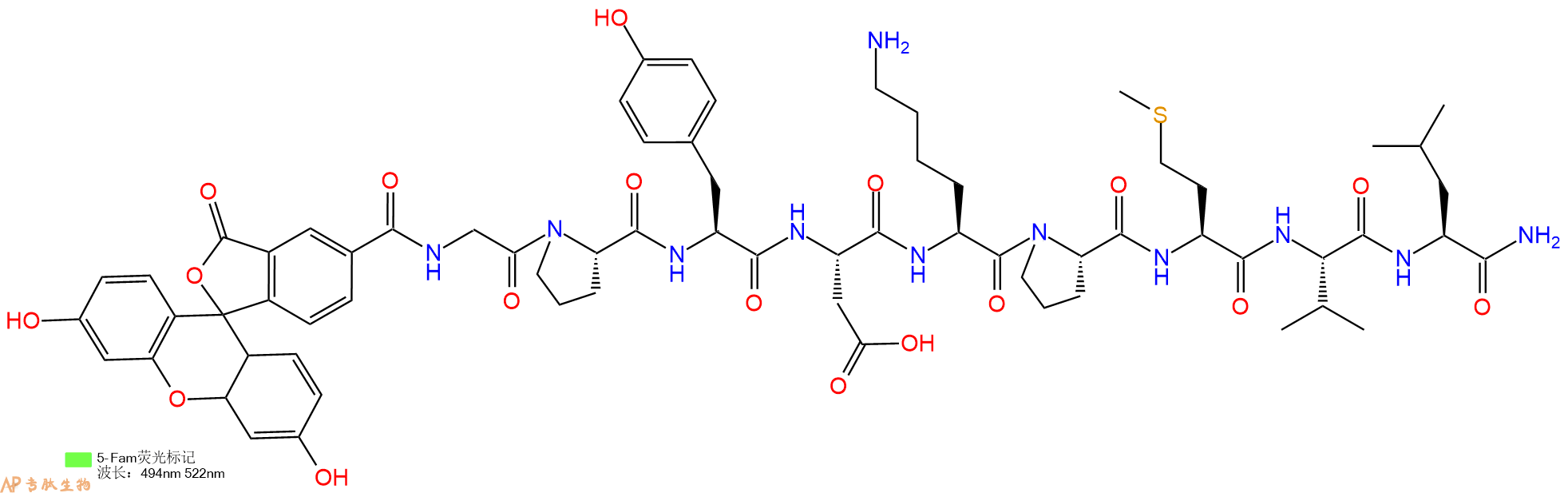 专肽生物产品5FAM-Gly-Pro-Tyr-Asp-Lys-Pro-Met-Val-Leu-CONH2
