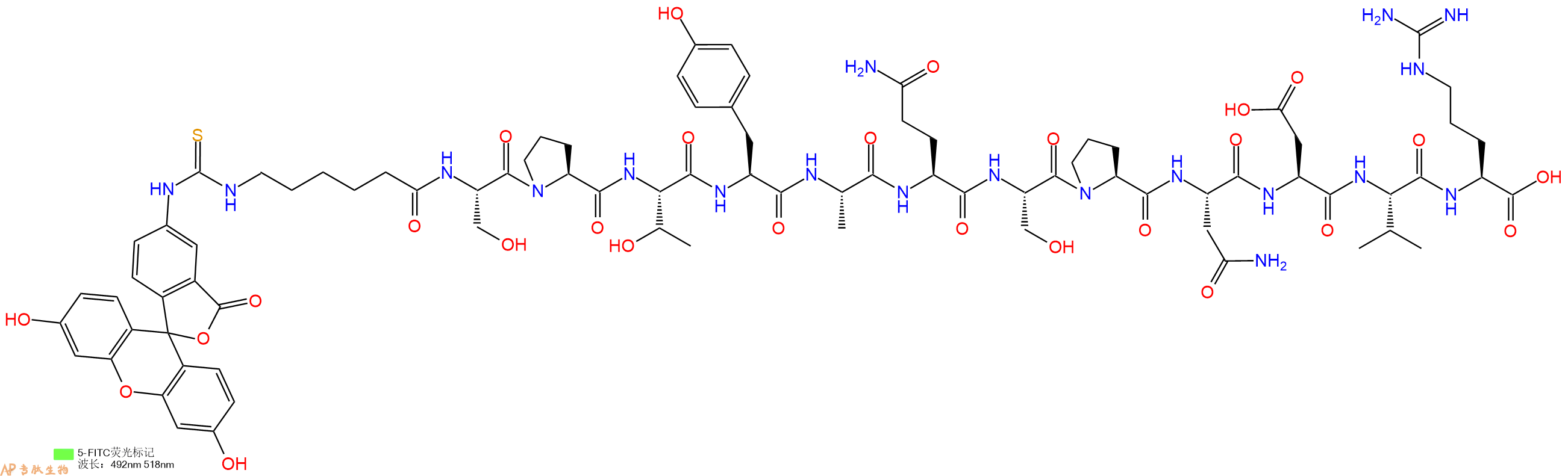 专肽生物产品5FITC-Ahx-Ser-Pro-Thr-Tyr-Ala-Gln-Ser-Pro-Asn-Asp-Val-Arg-OH