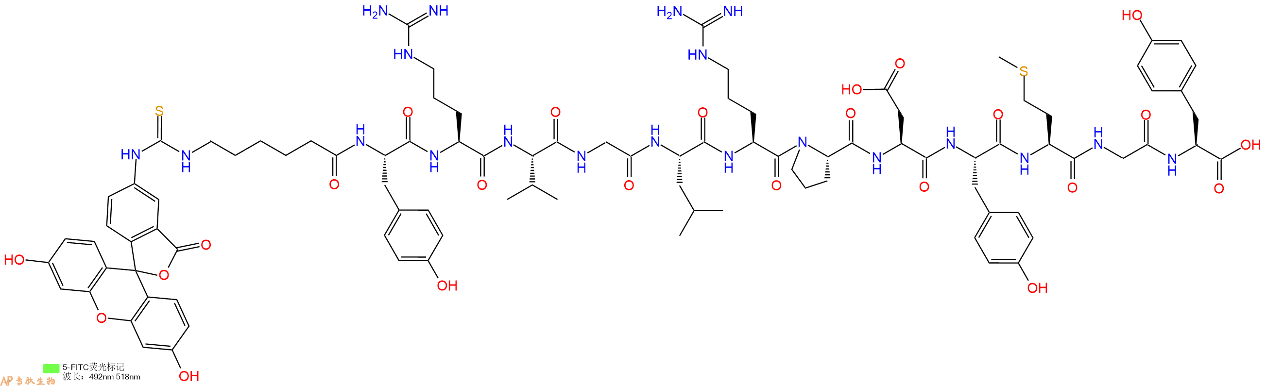 专肽生物产品5FITC-Ahx-Tyr-Arg-Val-Gly-Leu-Arg-Pro-Asp-Tyr-Met-Gly-Tyr-OH