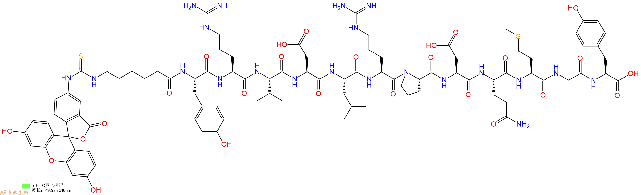 专肽生物产品5FITC-Ahx-Tyr-Arg-Val-Asp-Leu-Arg-Pro-Asp-Gln-Met-Gly-Tyr-OH