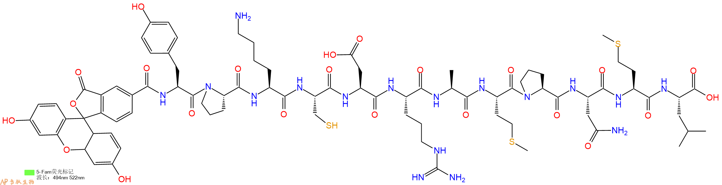 专肽生物产品5FAM-Tyr-Pro-Lys-Cys-Asp-Arg-Ala-Met-Pro-Asn-Met-Leu-OH
