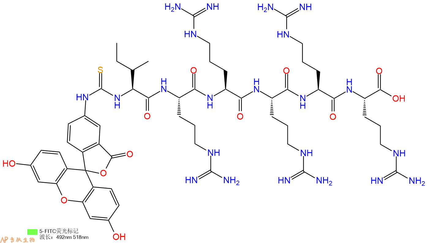 专肽生物产品5FITC-Ile-Arg-Arg-Arg-Arg-Arg-OH