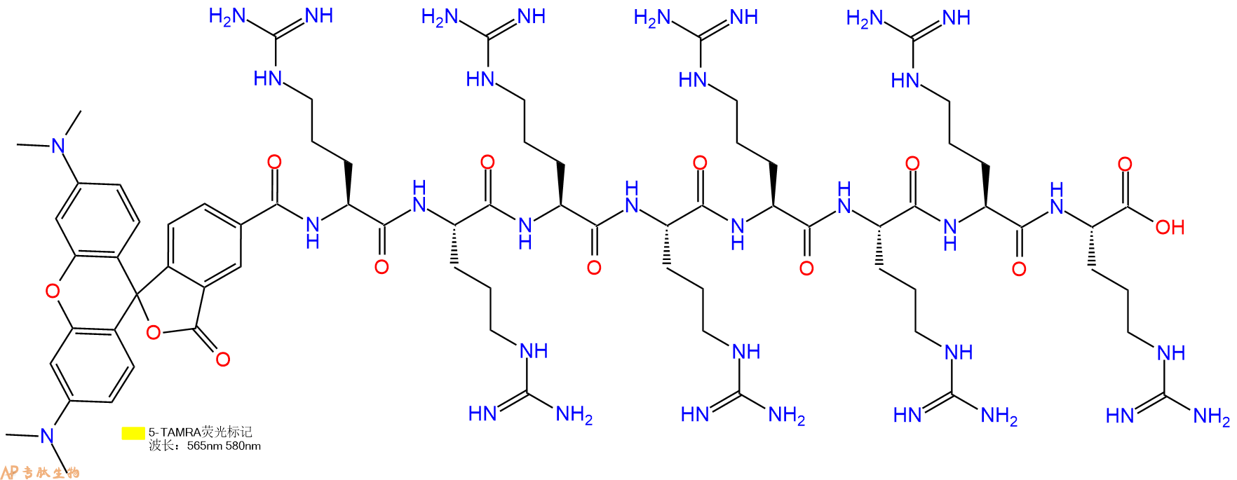 专肽生物产品(Arg)8 TAMRA - labeled、TAMRA-Arg8