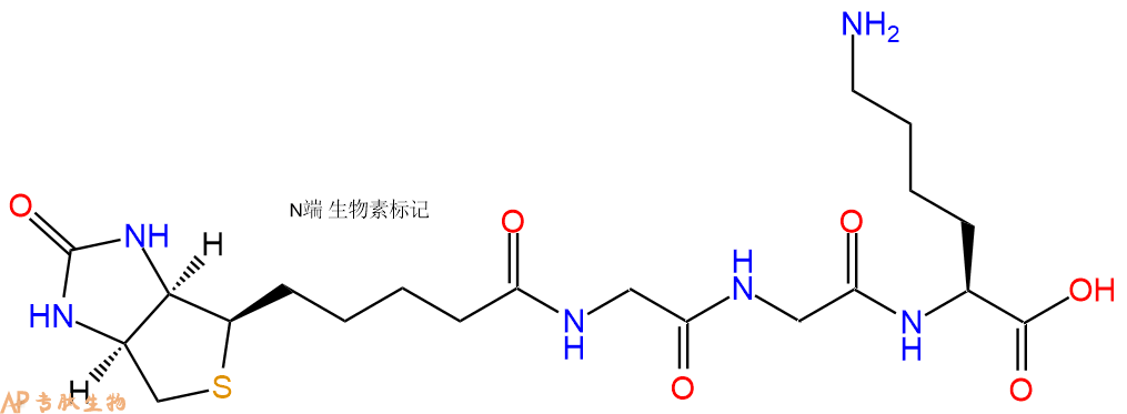专肽生物产品Biotinyl-Gly-Gly-Lys-OH
