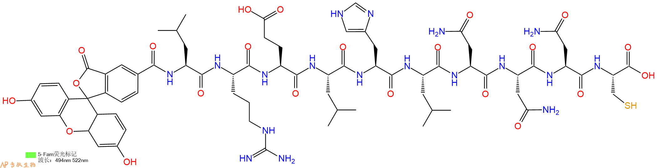 专肽生物产品5FAM-Leu-Arg-Glu-Leu-His-Leu-Asn-Asn-Asn-Cys-OH