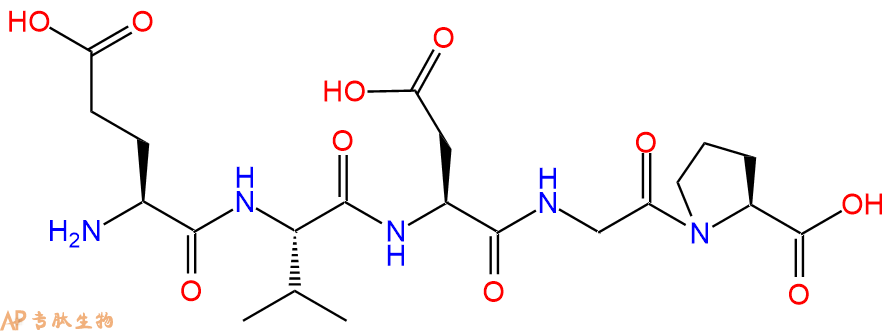 专肽生物产品H2N-Glu-Val-Asp-Gly-Pro-OH