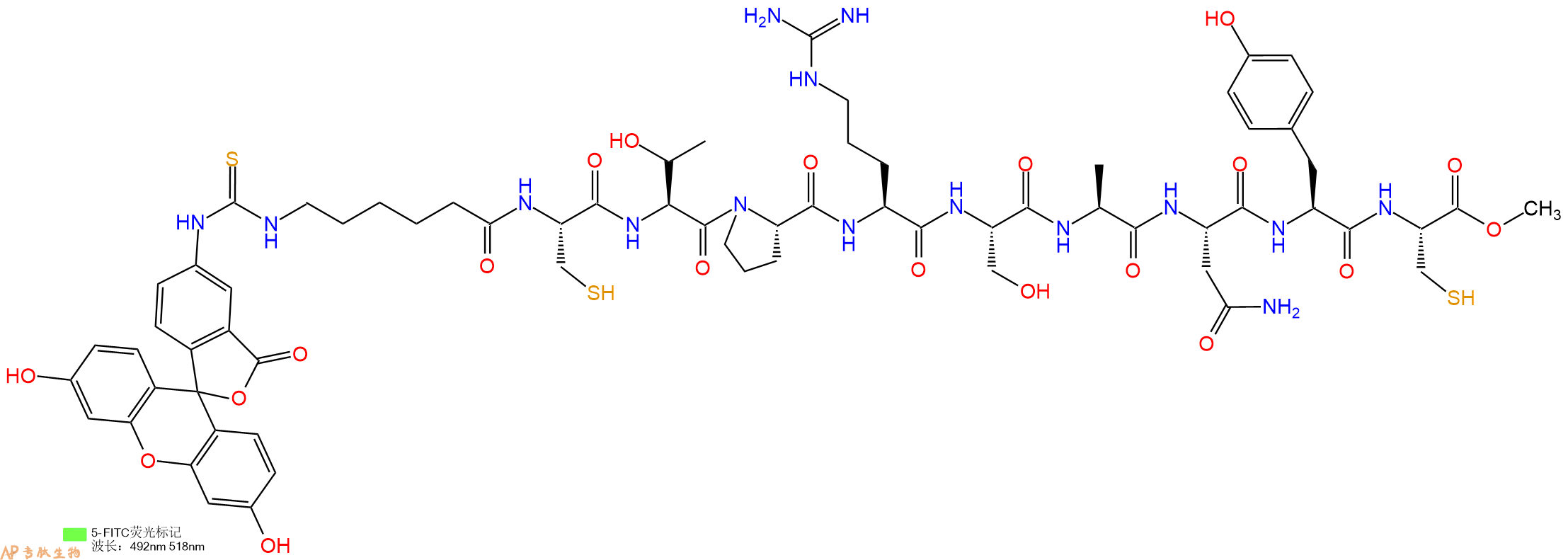 专肽生物产品5FITC-Ahx-Cys-Thr-Pro-Arg-Ser-Ala-Asn-Tyr-Cys-OMe