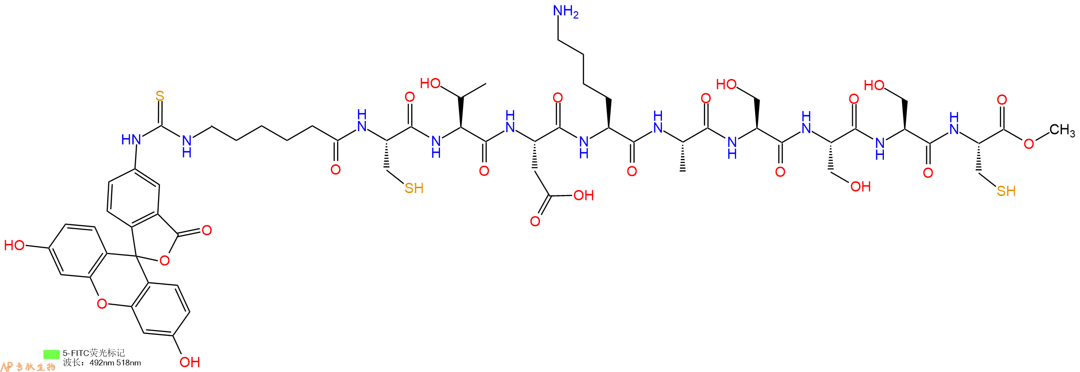 专肽生物产品5FITC-Ahx-Cys-Thr-Asp-Lys-Ala-Ser-Ser-Ser-Cys-OMe
